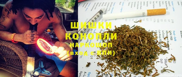 прущие грибы Магадан