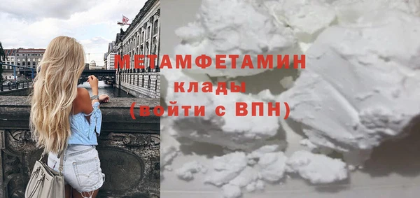 прущие грибы Магадан