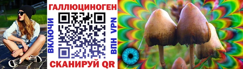 Псилоцибиновые грибы Psilocybine cubensis  закладка  Льгов 